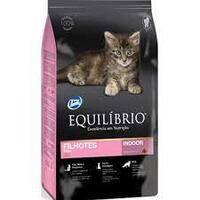 equilibrio---kitten