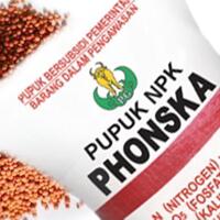 pupuk-phonska-untuk-buah-alpukat-sangat-bagus