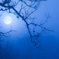 fenomena-bluemoon-benarkah-bulan-benar-benar-menjadi-biru