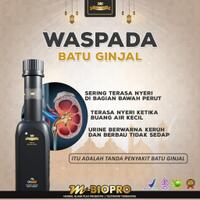 mbiopro-herbal-probiotik-obat-batu-ginjal-terbaik-reaksi-cepat-nusa-tenggara-barat