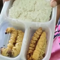 murid-sd-bojonegoro-diduga-dibully-guru-karena-bawa-bekal-nasi-lauk-ulat