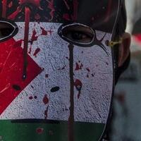 waspada-penipu-modus-donasi-palestina-gentayangan-di-email-dan-situs