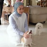 ajak-anak-main-dengan-anjing-irish-bella-dihujat-netizen-apa-salahnya