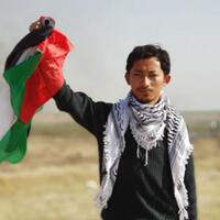 5-fakta-evakuasi-keluarga-aktivis-kemanusiaan-m-husein-dari-gaza-belum-berhasil