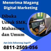 pelaksanaan-program-kerja-digital-marketing-blora