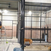 seorang-asisten-rumah-tangga-tewas-setelah-memberi-makan-harimau-milik-majikannya