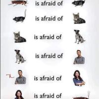 circle-of-life