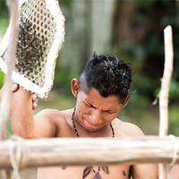 sarung-tangan-kok-di-isi-semut-ini-dia-tradisi-unik-suku-satere-mawe-asal-brazil