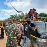 penjarahan-tbs-sawit-kian-meresahkan-petani-rugi-ratusan-juta-rupiah