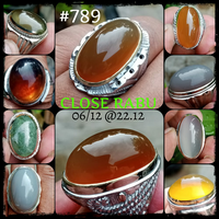 lelang-789-close-rabu-06-12-2212