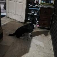 specialist-service-dan-setting-karburator