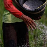 sektor-pertanian-bakal-ditinggalkan-petani-secara-sukarela-atau-terpaksa
