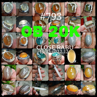 lelang-793--ob-20k-singkat-close-rabu-13-12-2212