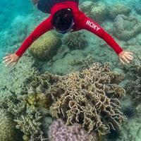 tahun-baruan-di-kepulauan-seribu-ada-akuarium-bawah-laut-dan-benteng-belanda