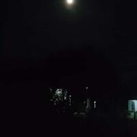 kenangan-istimewa-merayakan-malam-tahun-baru-bersama-keluarga-di-rumah