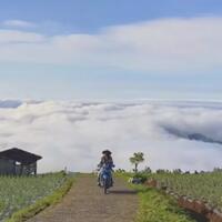 dusun-di-magelang-pemandangan-cantik-lautan-di-atas-awan-tanpa-harus-mendaki