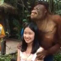 mengapa-orangutan-kerapkali-memegang-payudara-perempuan-ini-alasannya-gansist