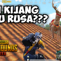 video-ini-kijang-atau-rusa---pubg-mobile