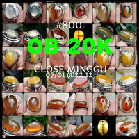 lelang-800--ob-20k-singkat-close-minggu-07-01-2212