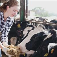 setuju-petani-ri-harus-seperti-di-jerman-prabowo-pagi-kerja-malam-dansa-di-disko