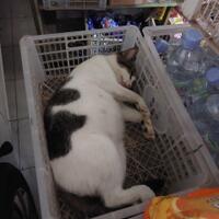 post-image