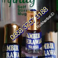 jual-gambir-serawak-asli-2024-januari-obat-kuat-oles-jostjob