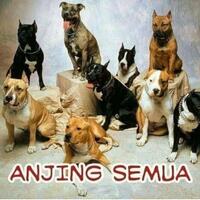 ustadz-ini-bilang-anies-kalah-dosa-dan-sebut-beberapa-ayat-alquran