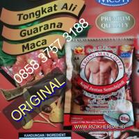 toko-jual-kopi-jantan-strong-di-pekanbaru-batam-sumbar-jakarta-palembang-manado-jambi