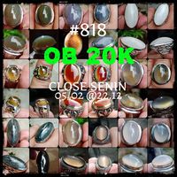 lelang-818--ob-20k-singkat-close-senin-05-02-2212