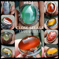 lelang-824-singkatclose-selasa-13-02-2212