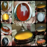 lelang-825-close-rabu-14-02-2212