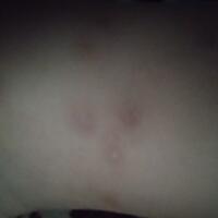 curhat-balabala-amis