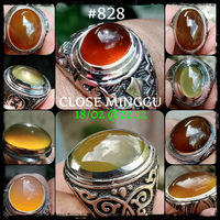 lelang-828-singkat-close-minggu-18-02-2212