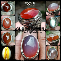 lelang-829-close-senin-19-02-2212