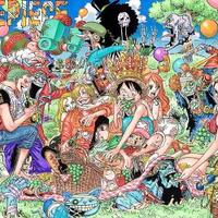 one-piece-cover