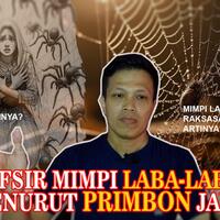 tafsir-mimpi-laba-laba-menurut-primbon