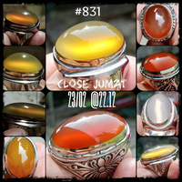 lelang-831-close-jum-at-23-02-2212