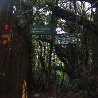 pendakian-horor-gunung-gede-diganggu-dari-pos-4-simpang-maleber-dan-sosok-misterius