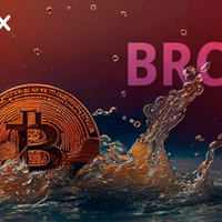 qmiax-programmability-ushers-in-a-new-era-for-bitcoin
