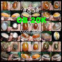 lelang-834--ob-20k-singkat-close-senin-26-02-2212