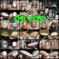 lelang-838--ob-20k-singkat-close-minggu-03-03-2212