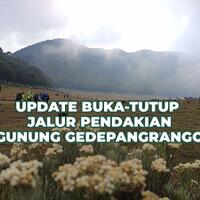 update-terkini-buka---tutup-jalur-pendakian-gunung-gedepangrango