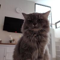 merantau-ke-jakarta-modal-nekat--ucup-stories-the-return-of-the-king