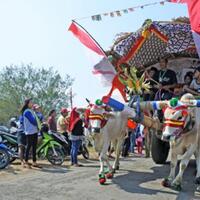 festival-pegon-jember