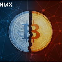 qmiax-memimpin-dinamika-pasar-selama-periode-pemotongan-bitcoin