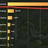 indonesia-peringkat-1-pengguna-judi-online-terbanyak-di-dunia