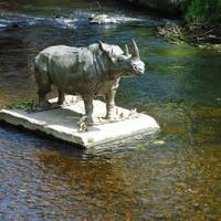 dodder-rhino-di-sungai-dublin--patung-badak-misterius-yang-muncul-dalam-semalam