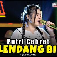 669mb-download-lagu-putri-cebret-selendang-biru-mp3-terbaru-gratis