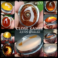 lelang-877-close-kamis-23-05-2212