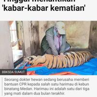 reaksi-bobby-nasution-soal-ahok-nyatakan-siap-bertarung-di-pilgub-sumut